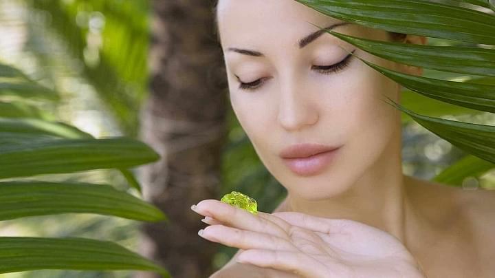 Aloe Vera bemutatása aloe-vera